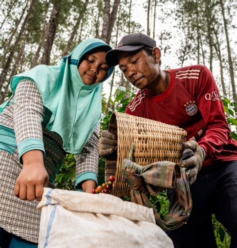 openload fair trade|Driving the Fairness Agenda: Fairtrade International Annual .